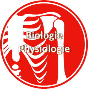 Biologie-physiologie